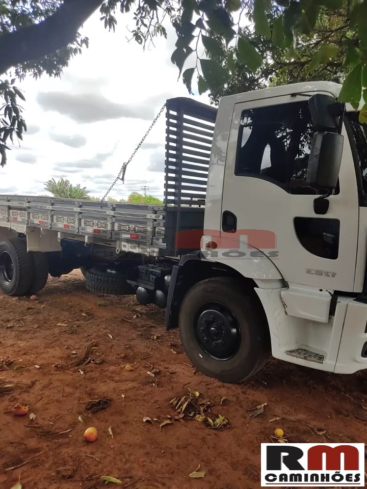 Ford Cargo 1319 2012